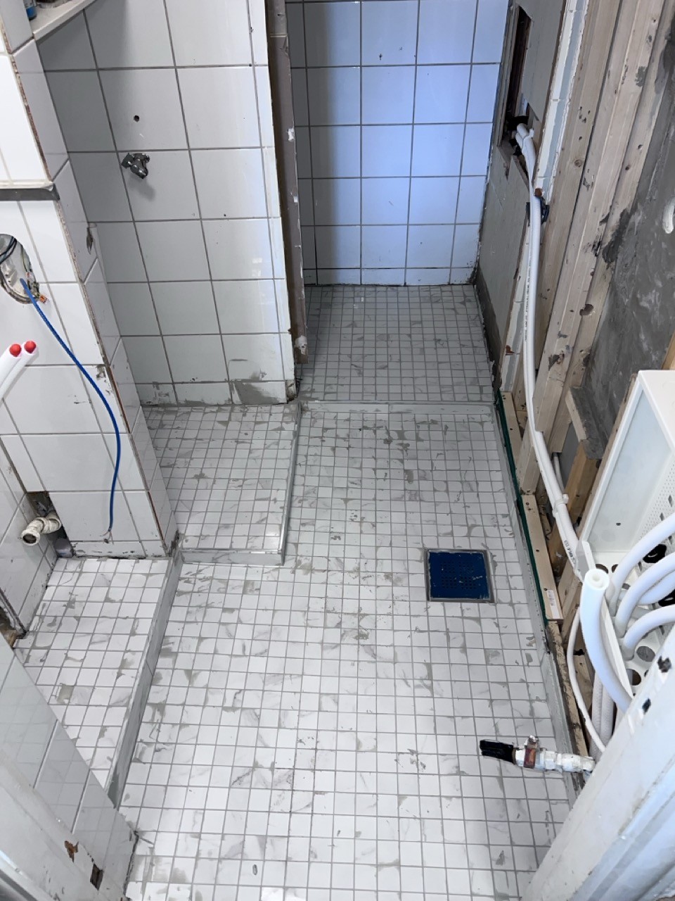 Mosaikken lagt på gulvet